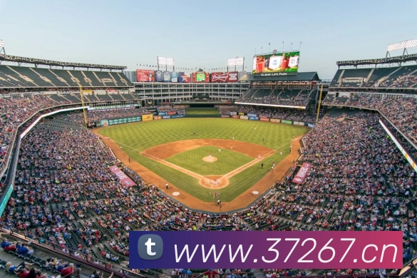 星空网官方登录平台生态图