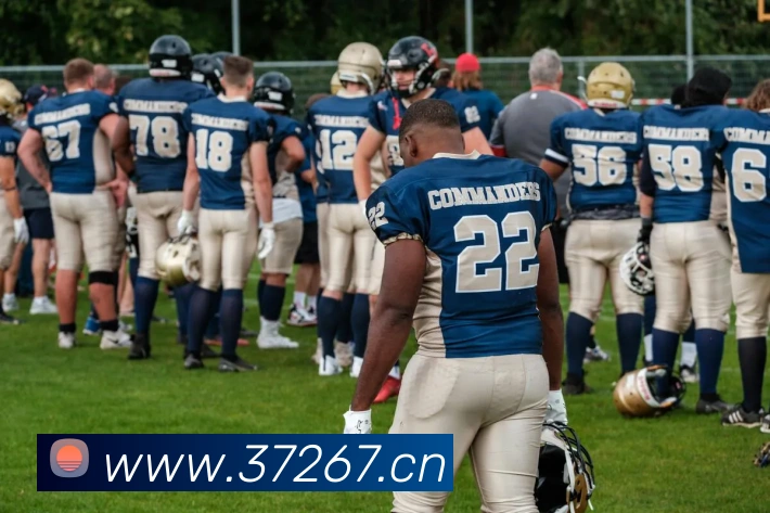 星空网官方登录APP 封面图