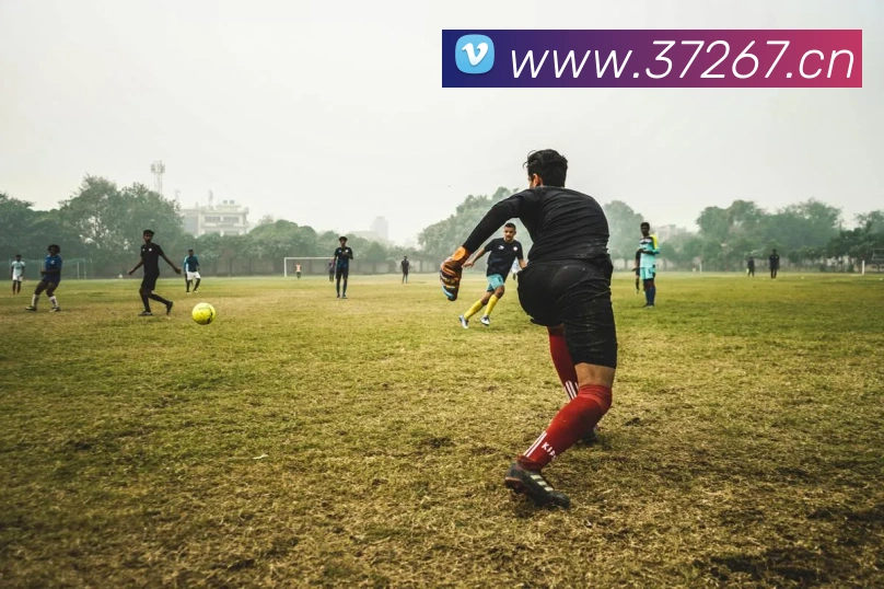 数据防护可视化